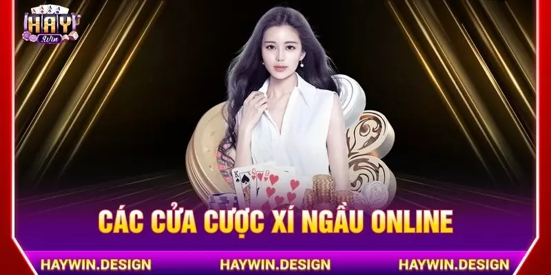 Các cửa cược xí ngầu online